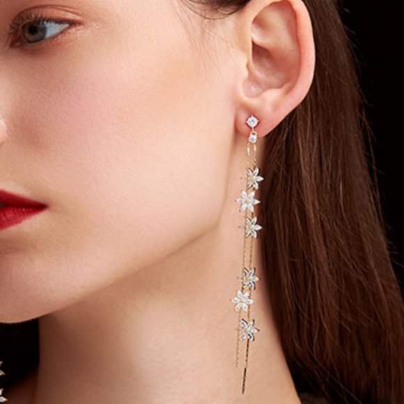 Cold wind/style/long/fringed earrings - Picture 2 of 4